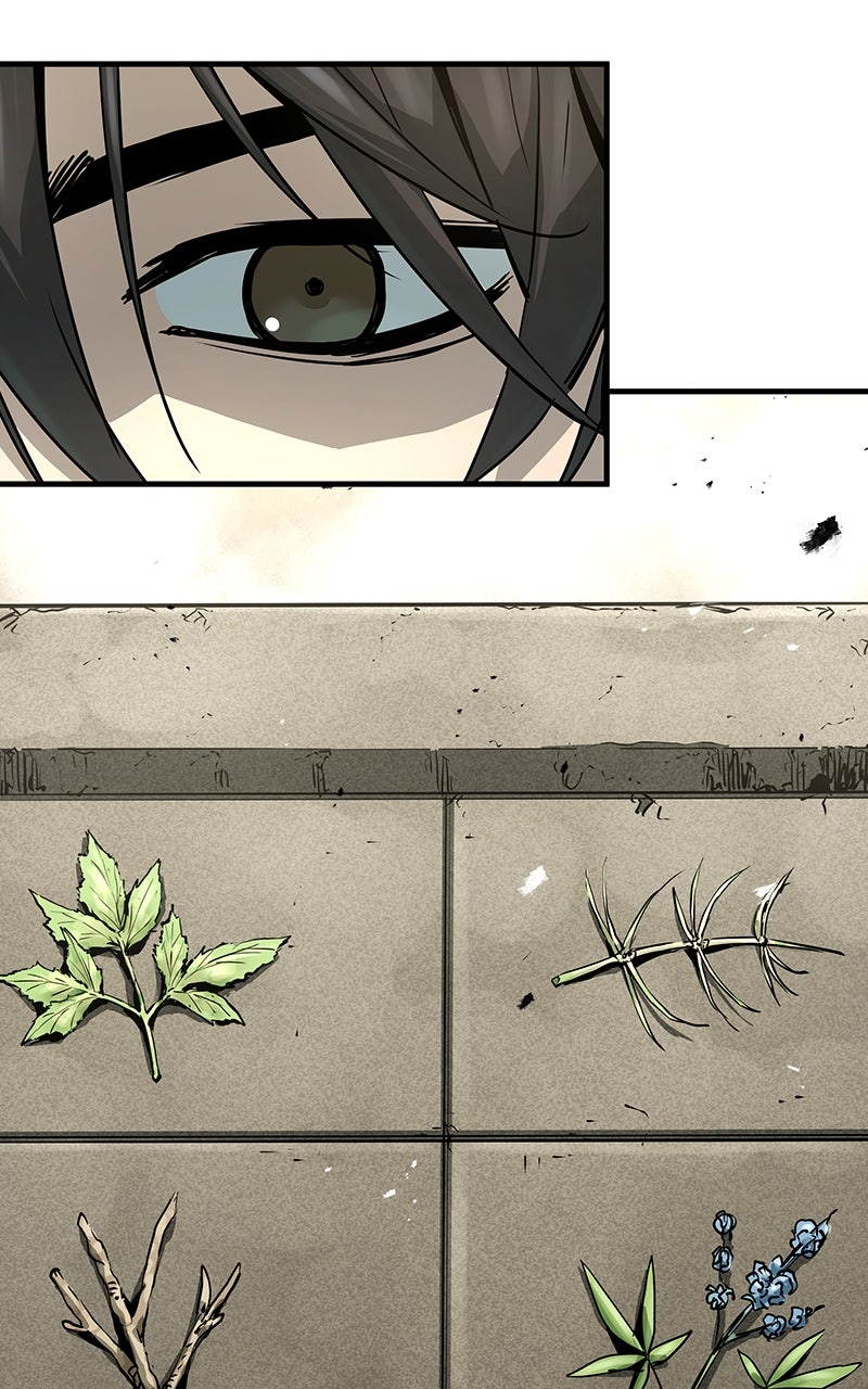 Read Absolute Regression EN Manga Online