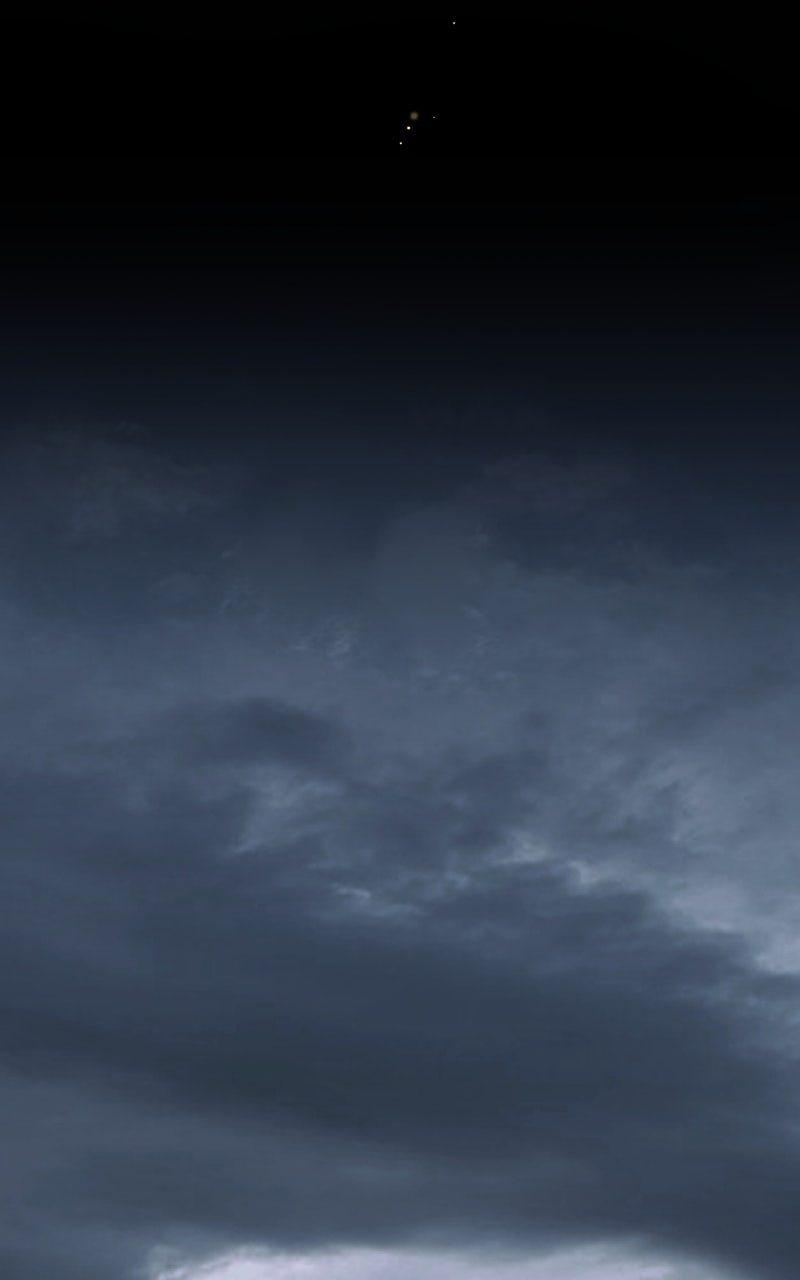 Read Absolute Reign EN Manga Online