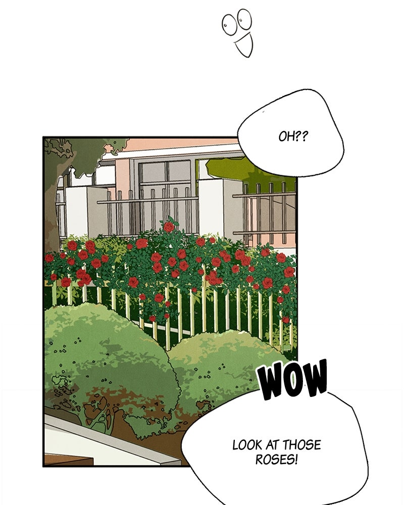 Read After School Lessons for Unripe Apples EN Manga Online