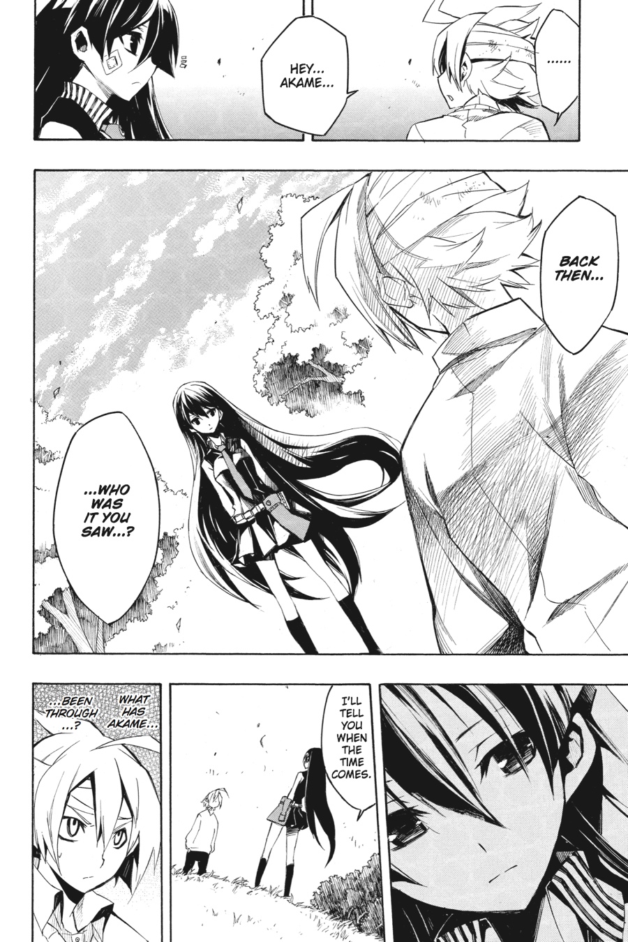 Read Akame ga Kill! EN Manga Online