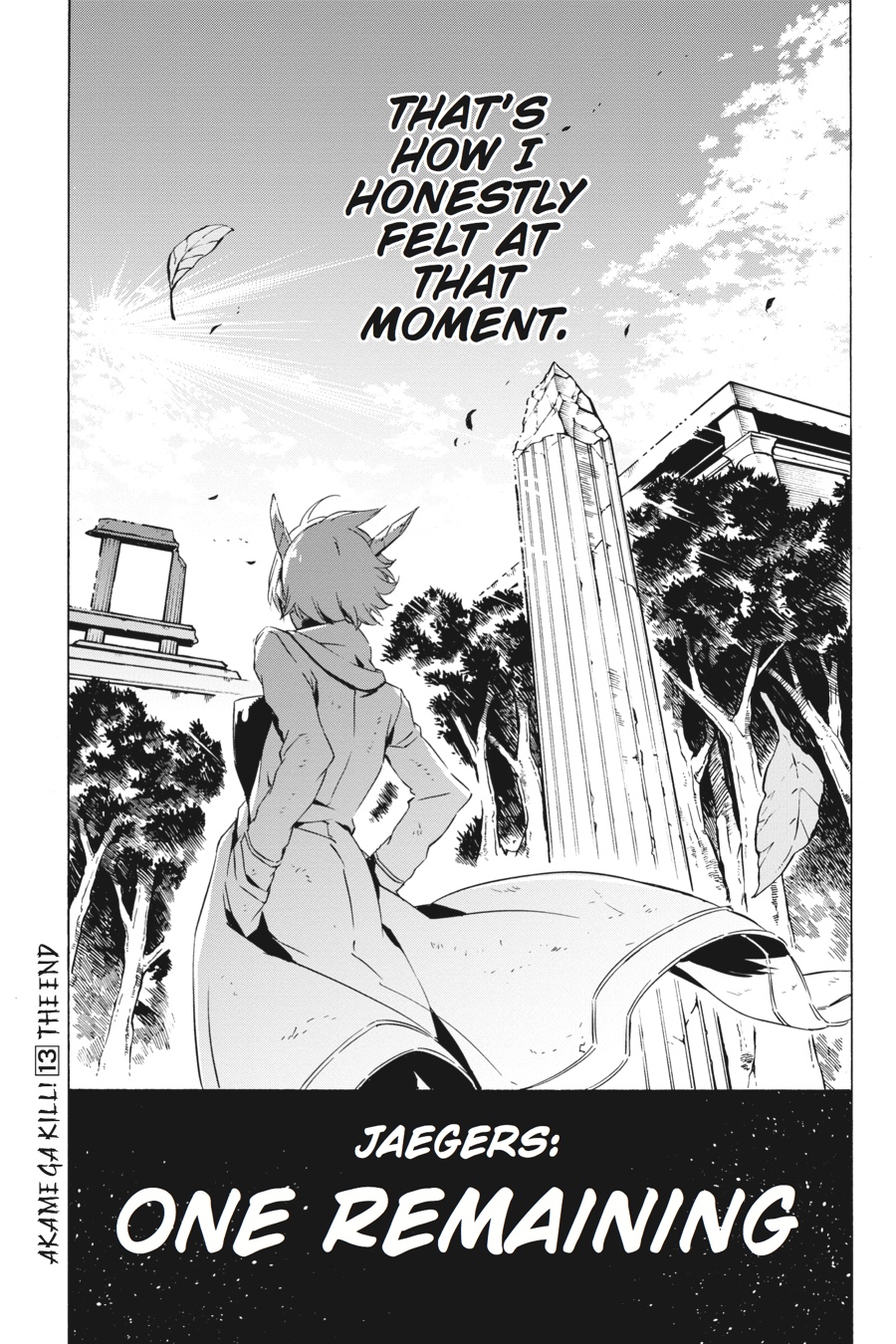 Read Akame ga Kill! EN Manga Online