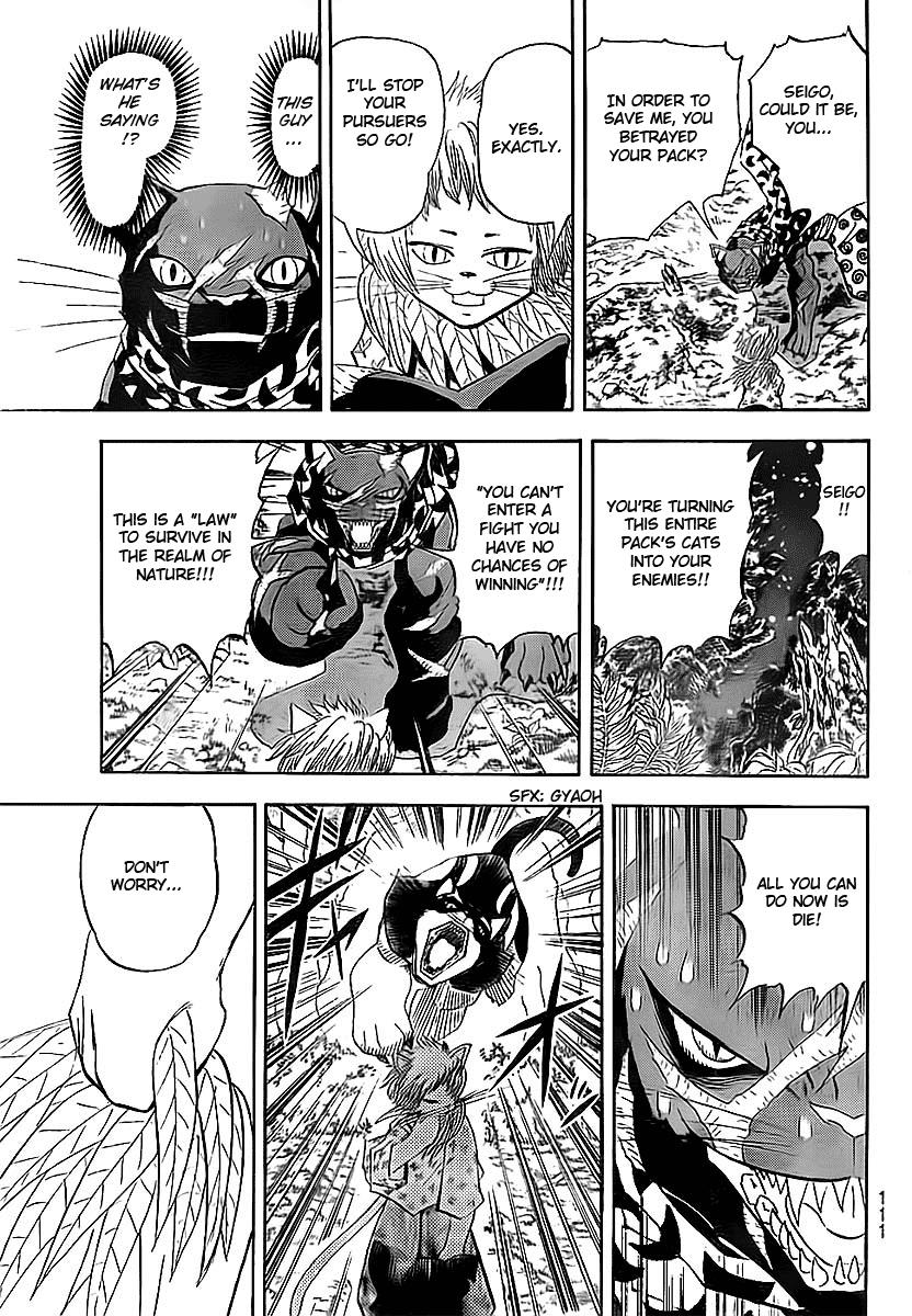 Read Animal Land EN Manga Online