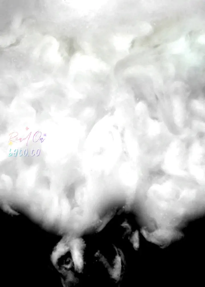 Read Annarasumanara EN Manga Online