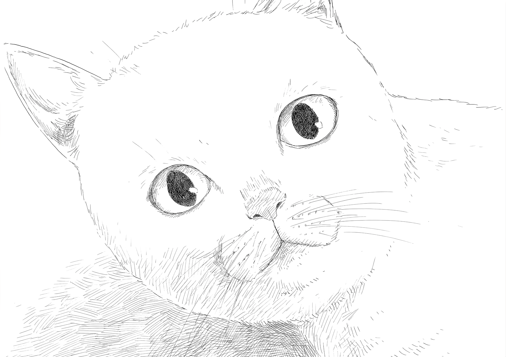 Read Blood on the Tracks EN Manga Online