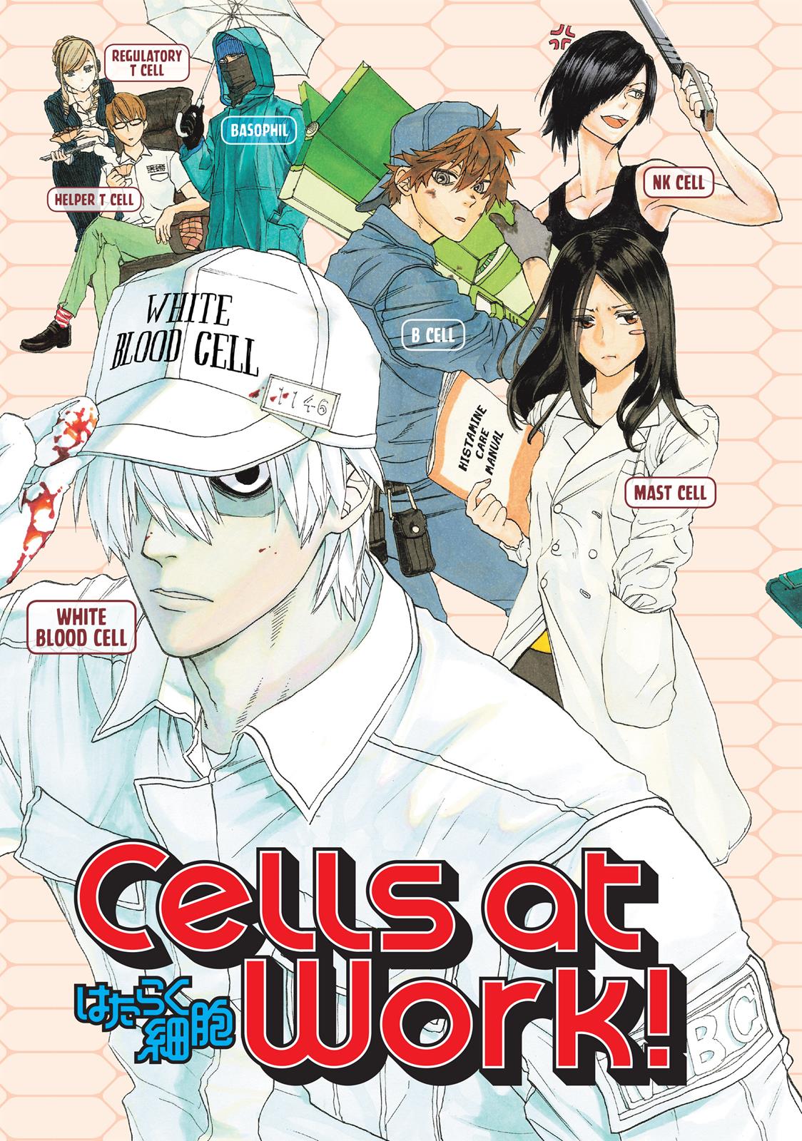 Read Cells at Work! EN Manga Online