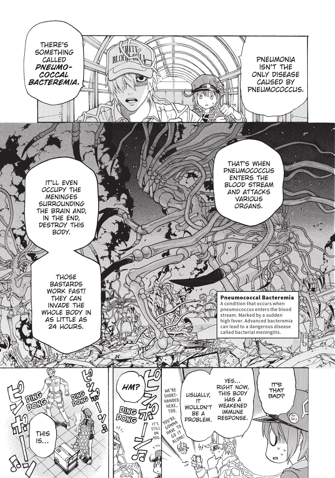Read Cells at Work! EN Manga Online
