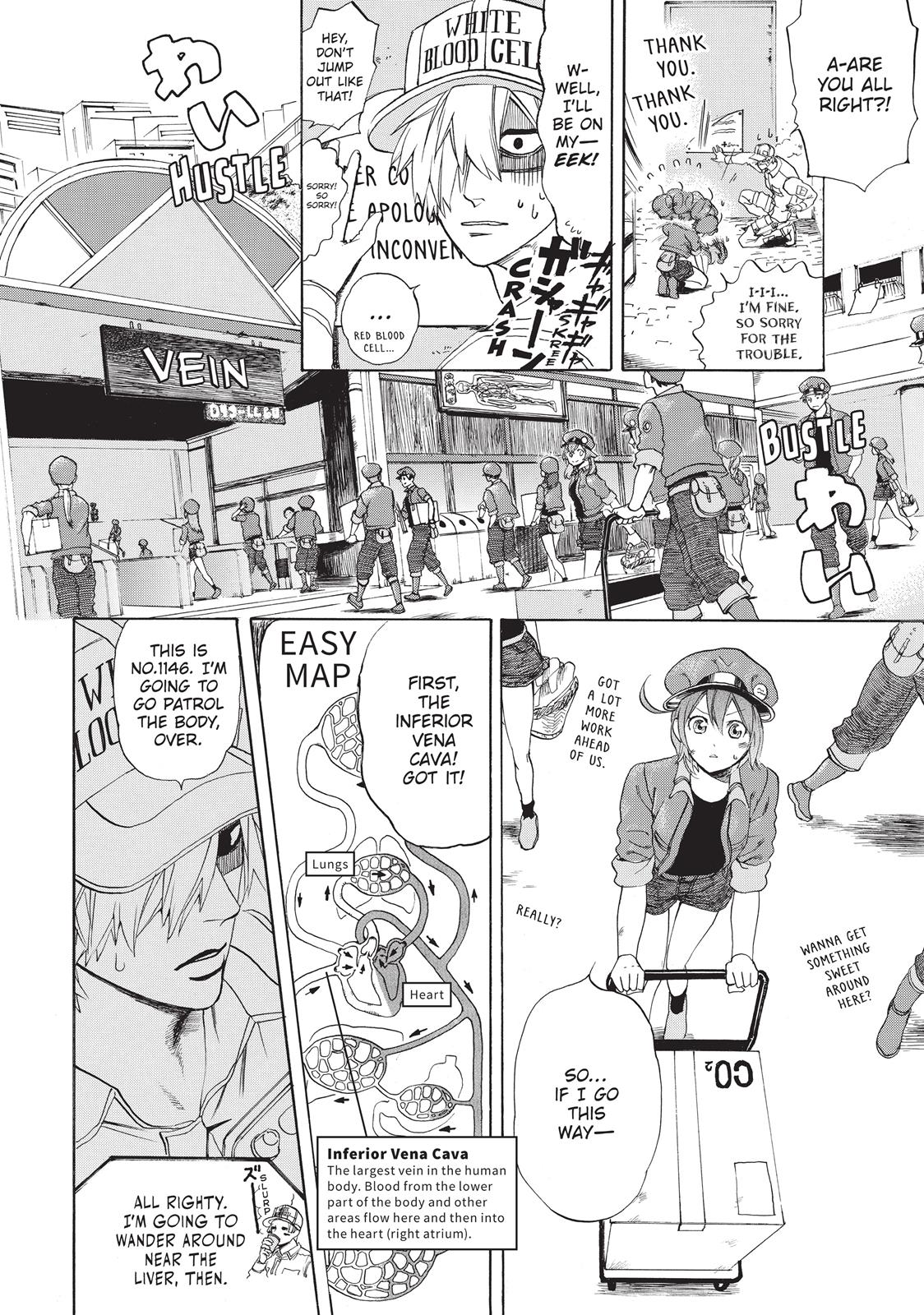 Read Cells at Work! EN Manga Online