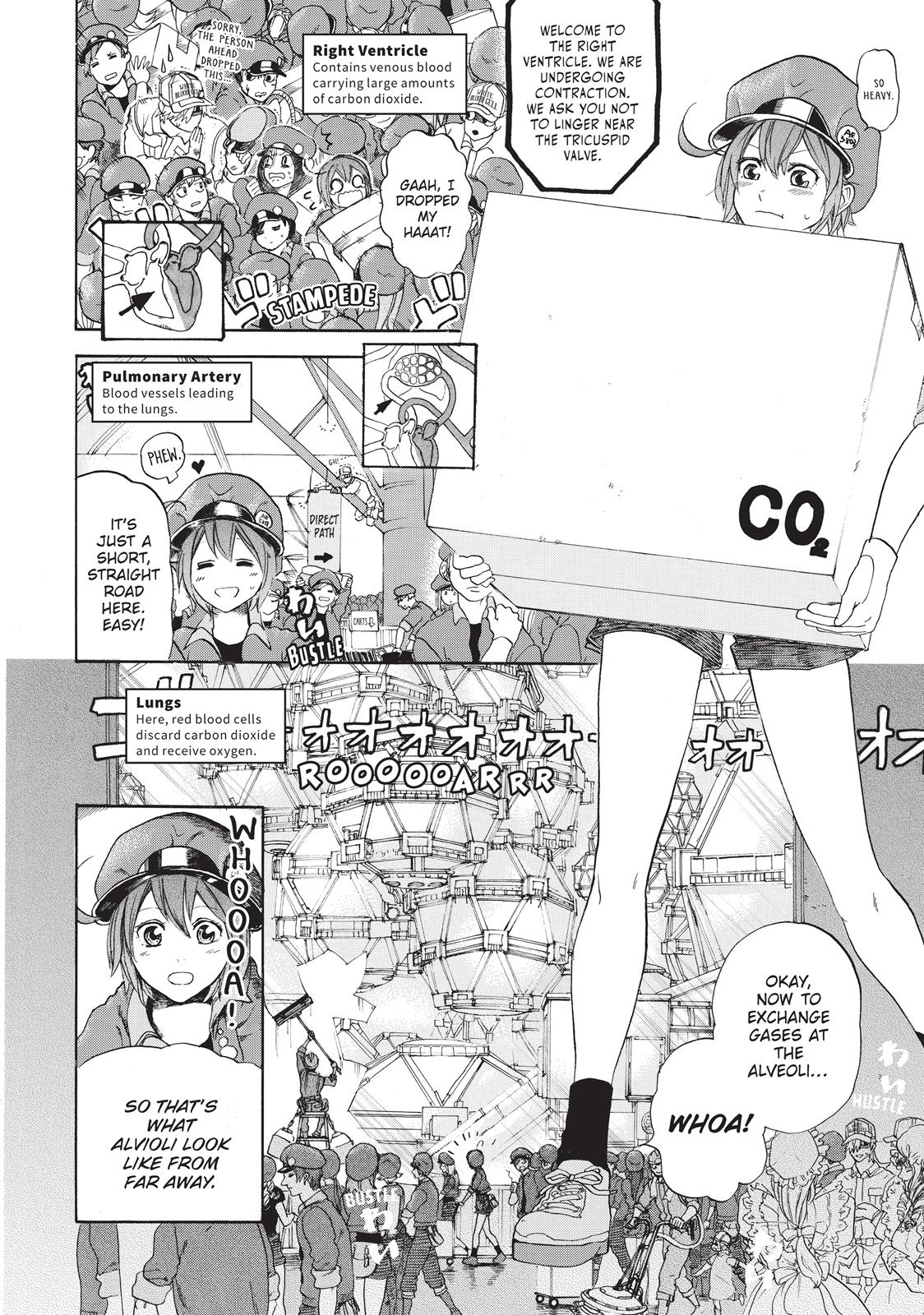 Read Cells at Work! EN Manga Online
