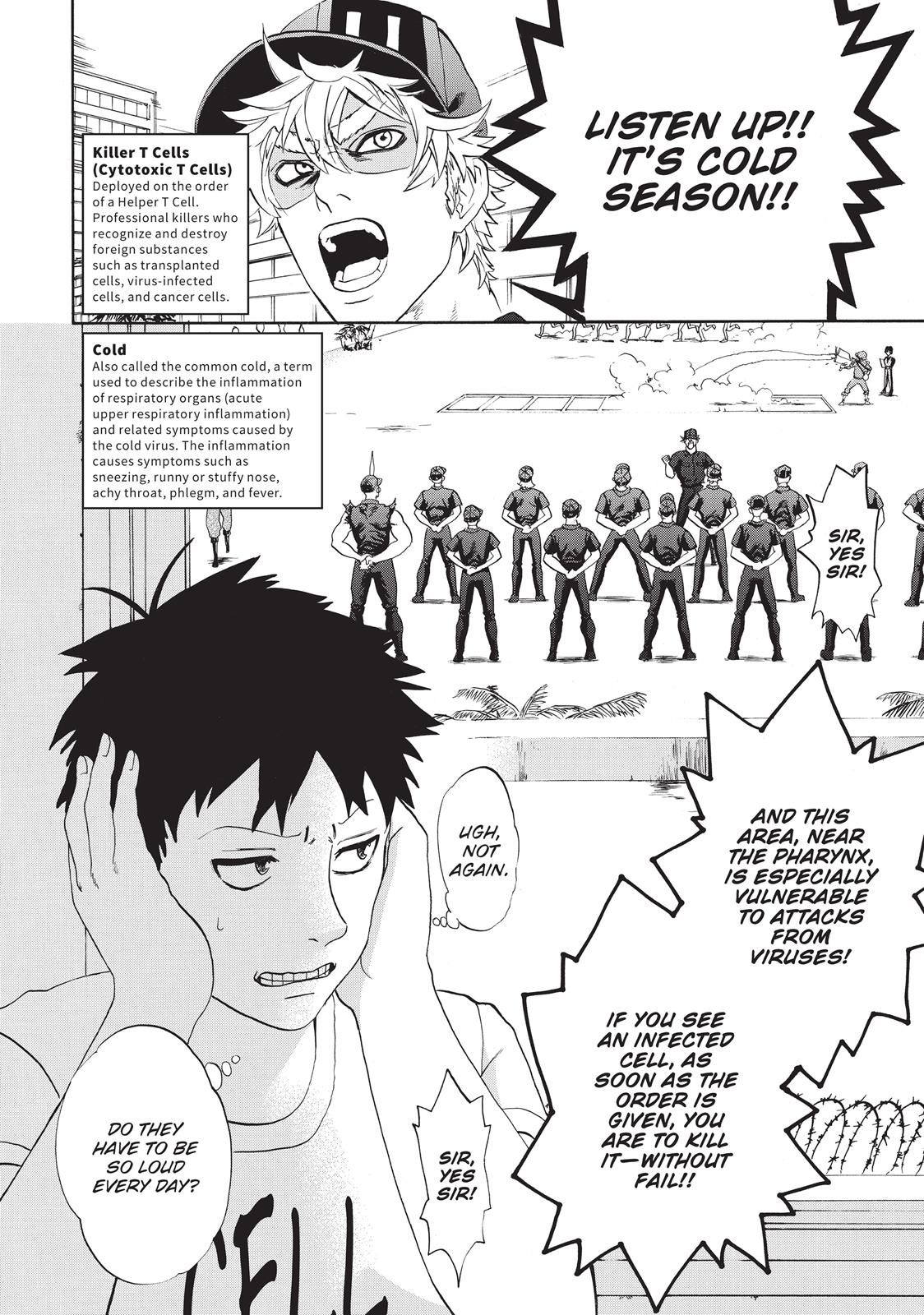 Read Cells at Work! EN Manga Online