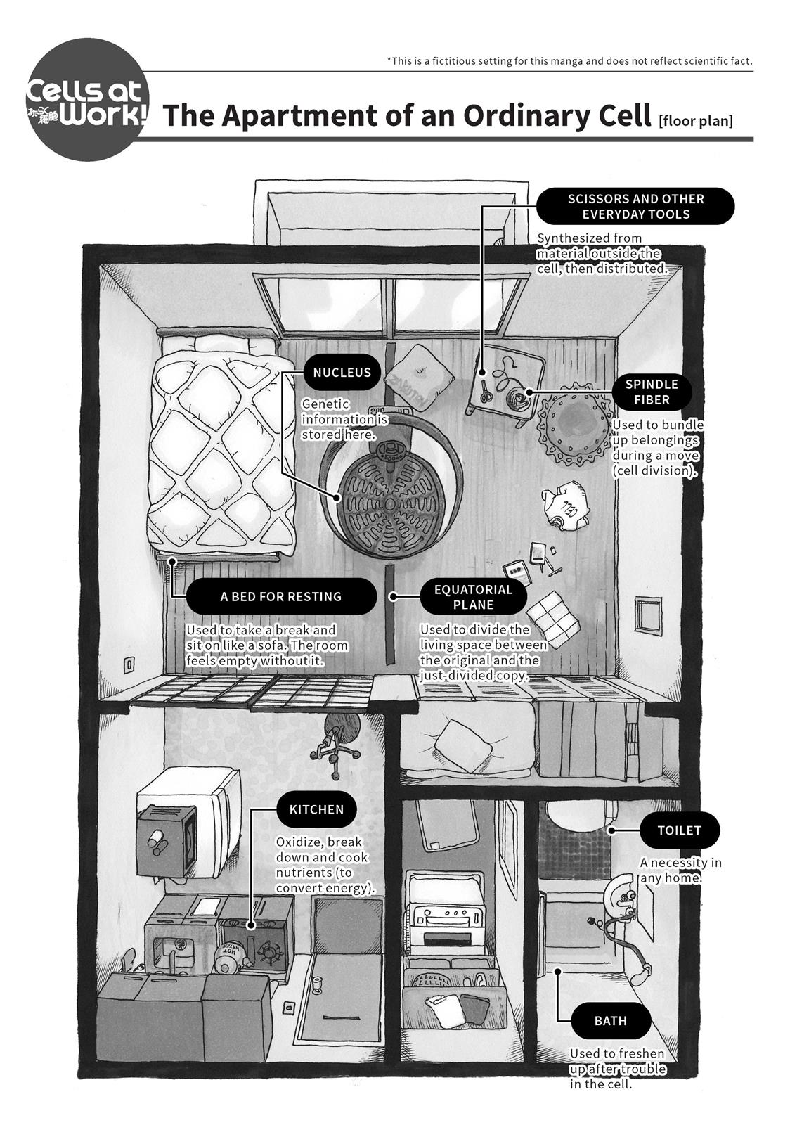 Read Cells at Work! EN Manga Online