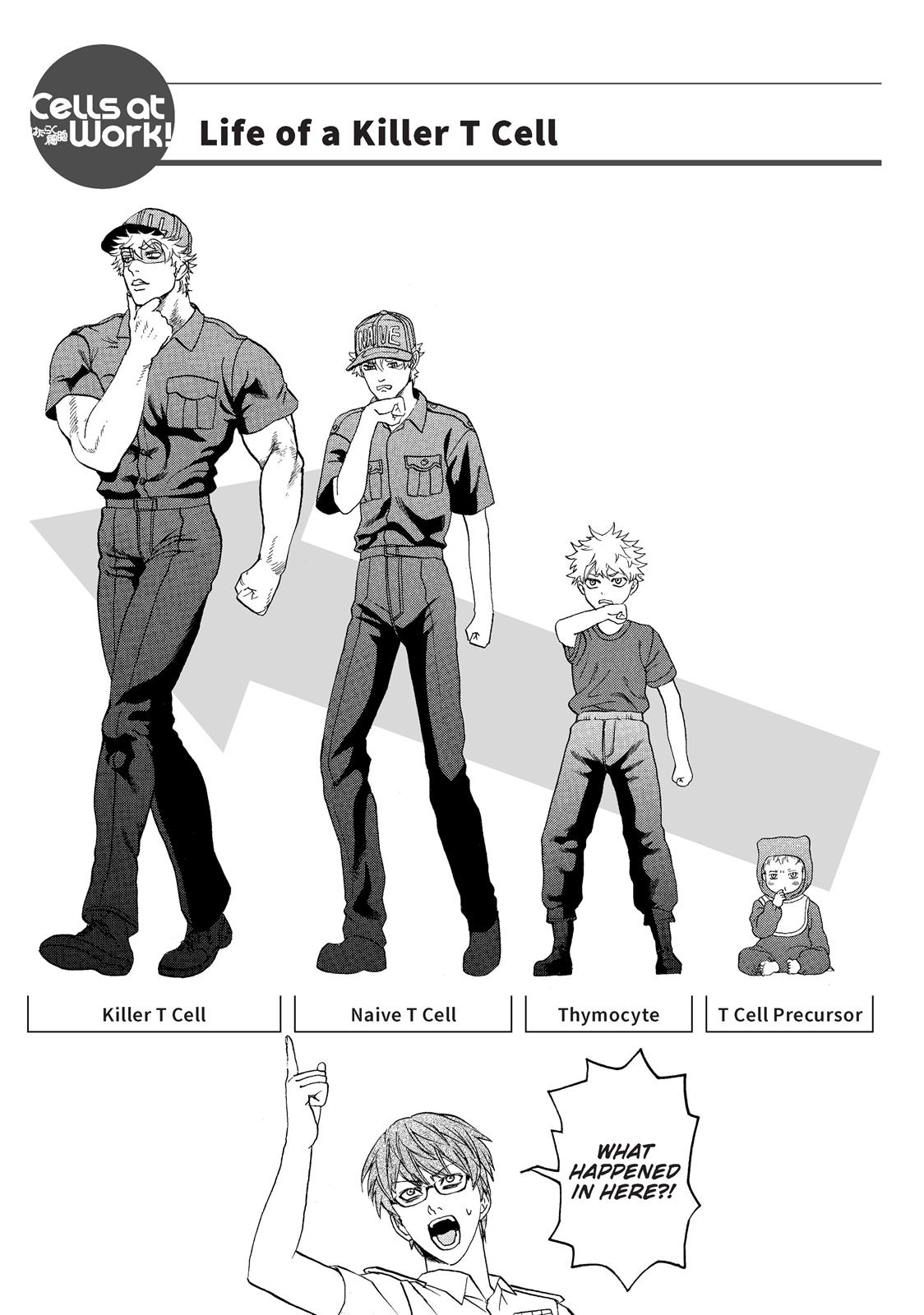 Read Cells at Work! EN Manga Online