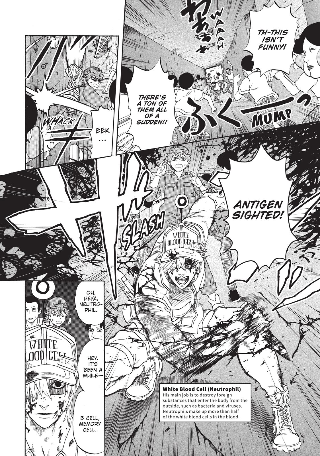 Read Cells at Work! EN Manga Online