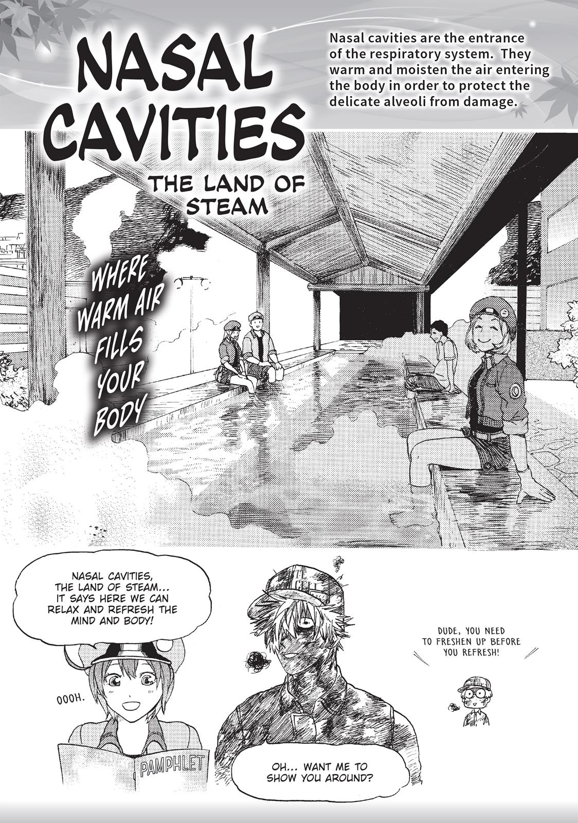 Read Cells at Work! EN Manga Online