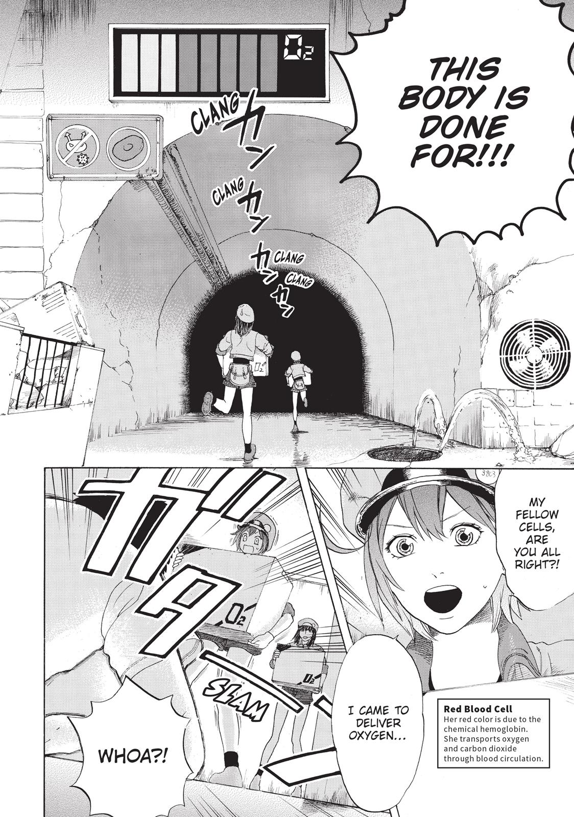 Read Cells at Work! EN Manga Online