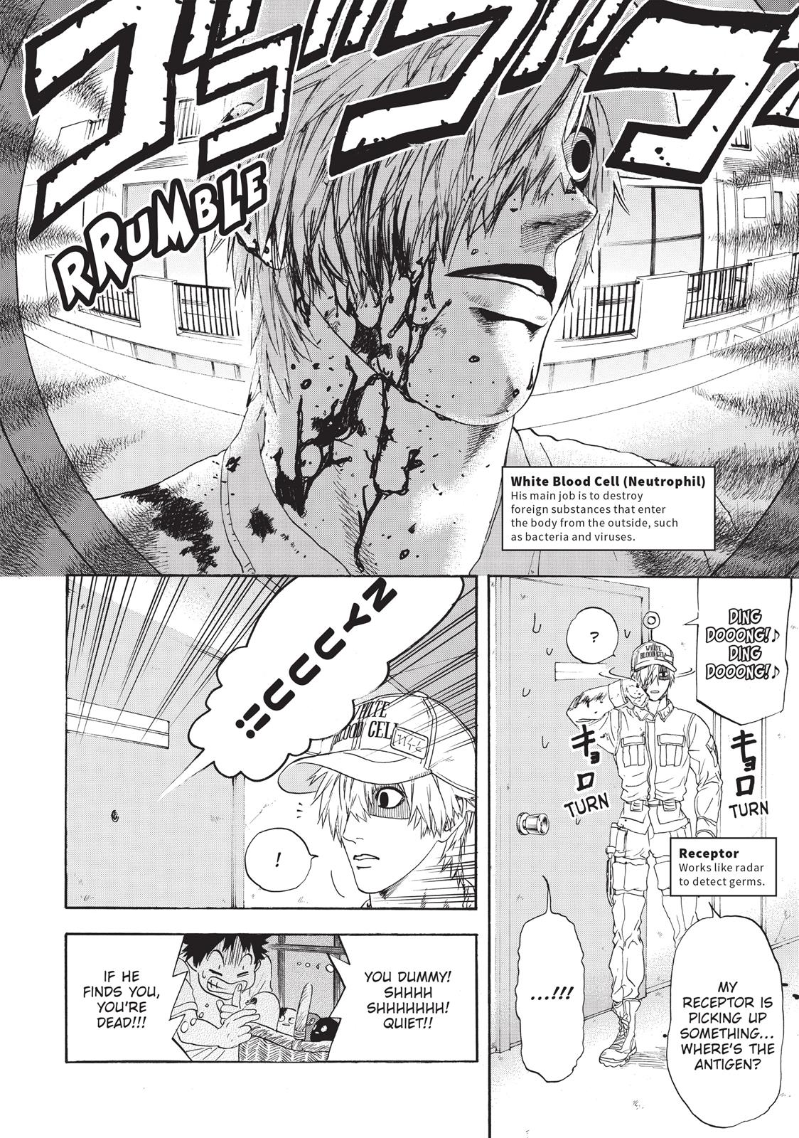 Read Cells at Work! EN Manga Online