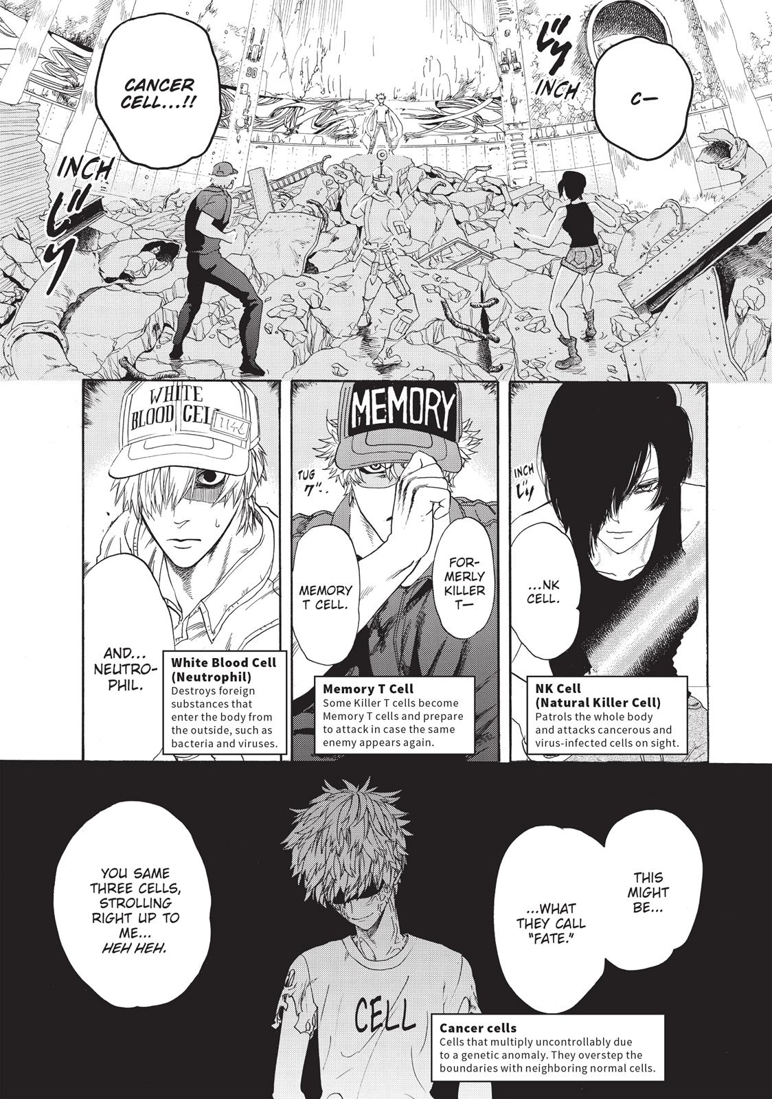 Read Cells at Work! EN Manga Online