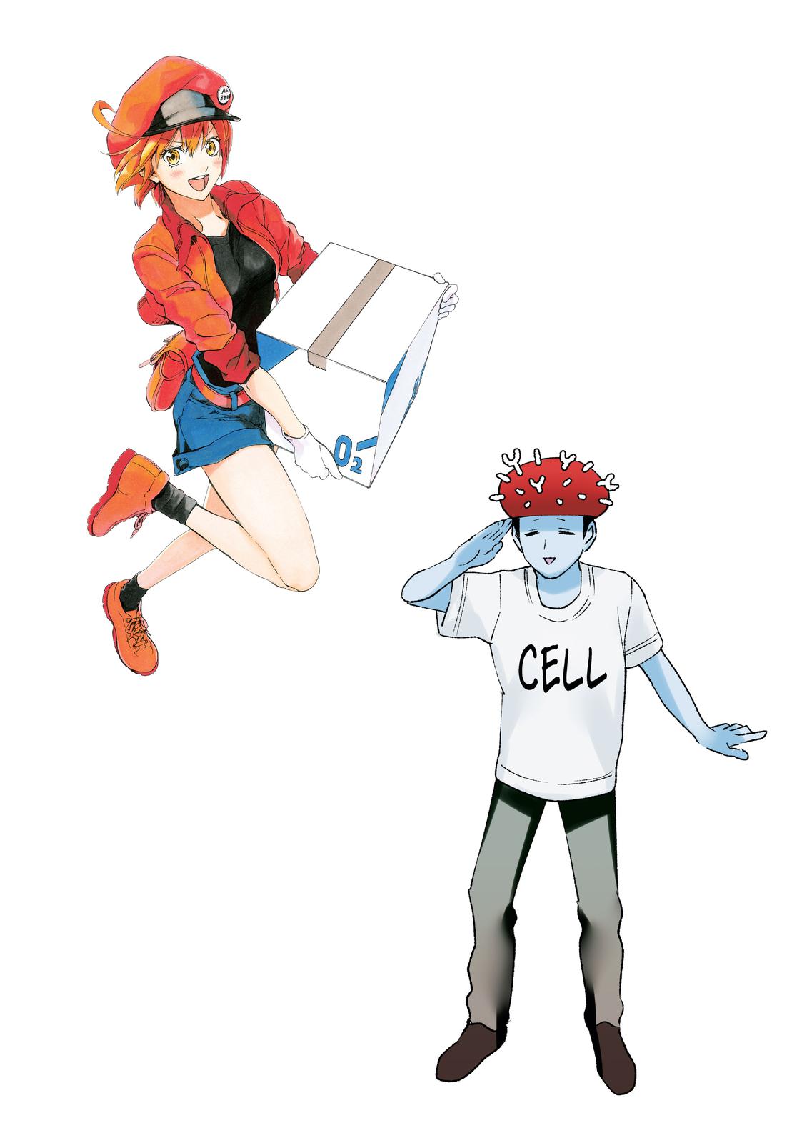 Read Cells at Work! EN Manga Online