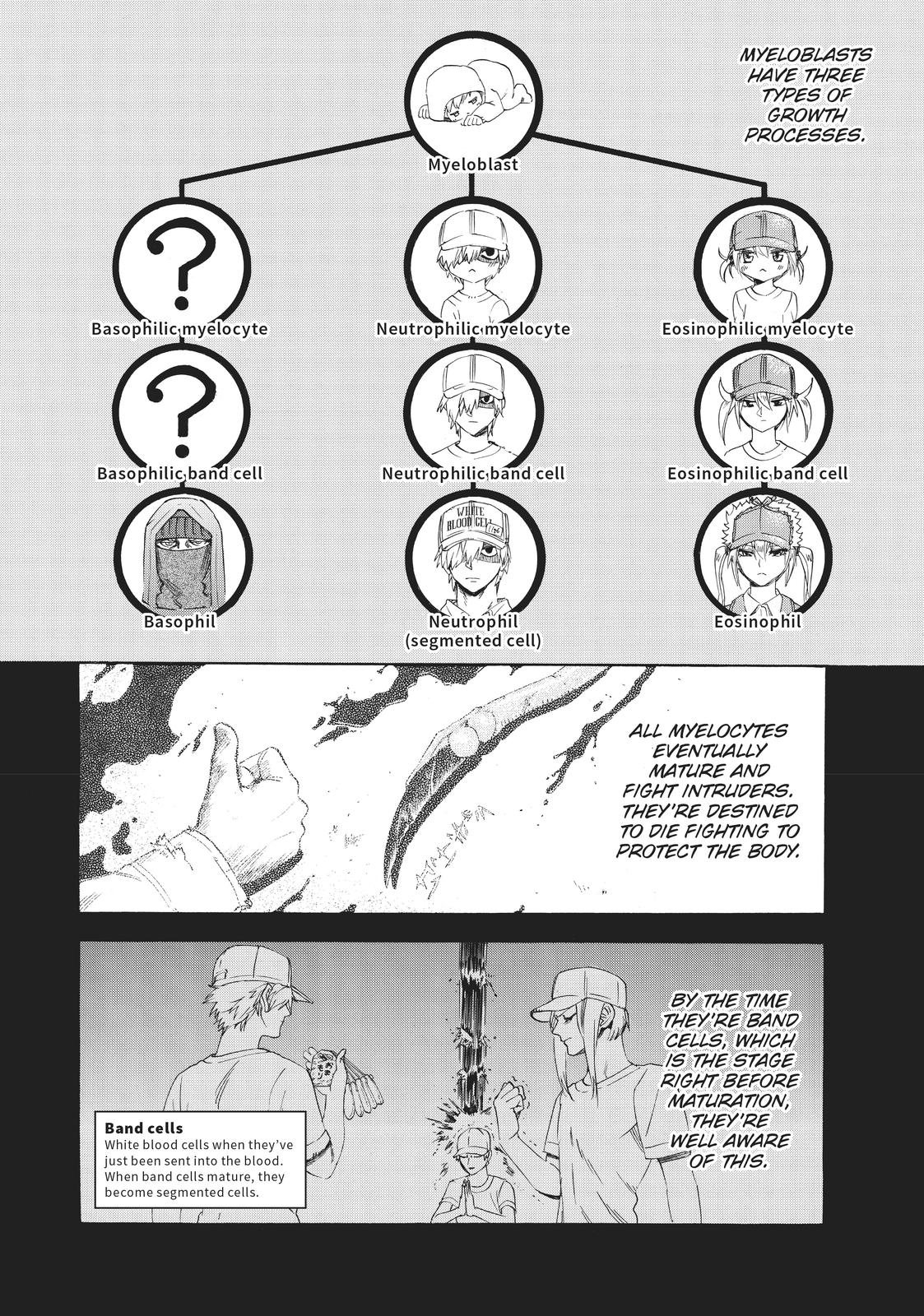 Read Cells at Work! EN Manga Online