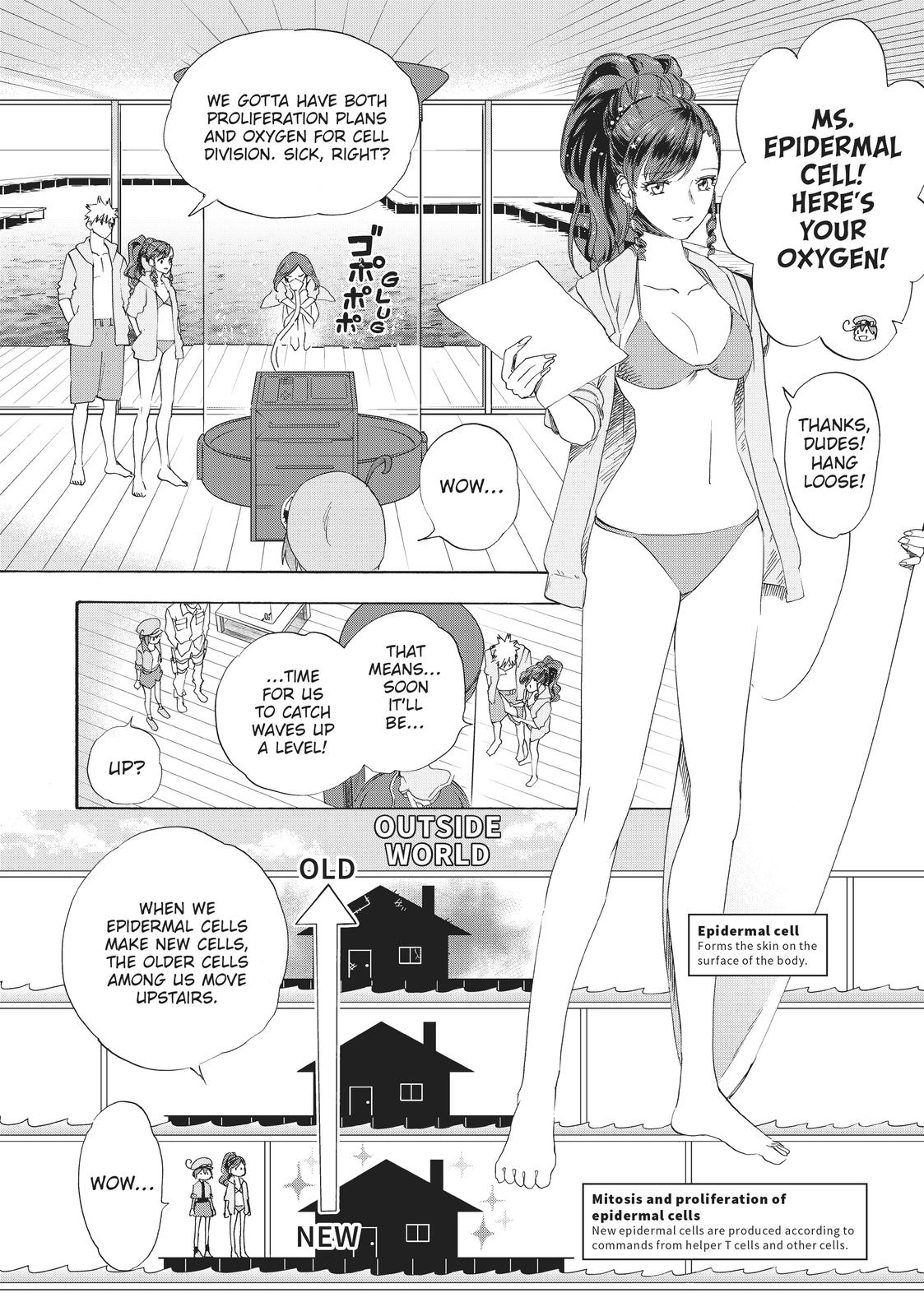 Read Cells at Work! EN Manga Online