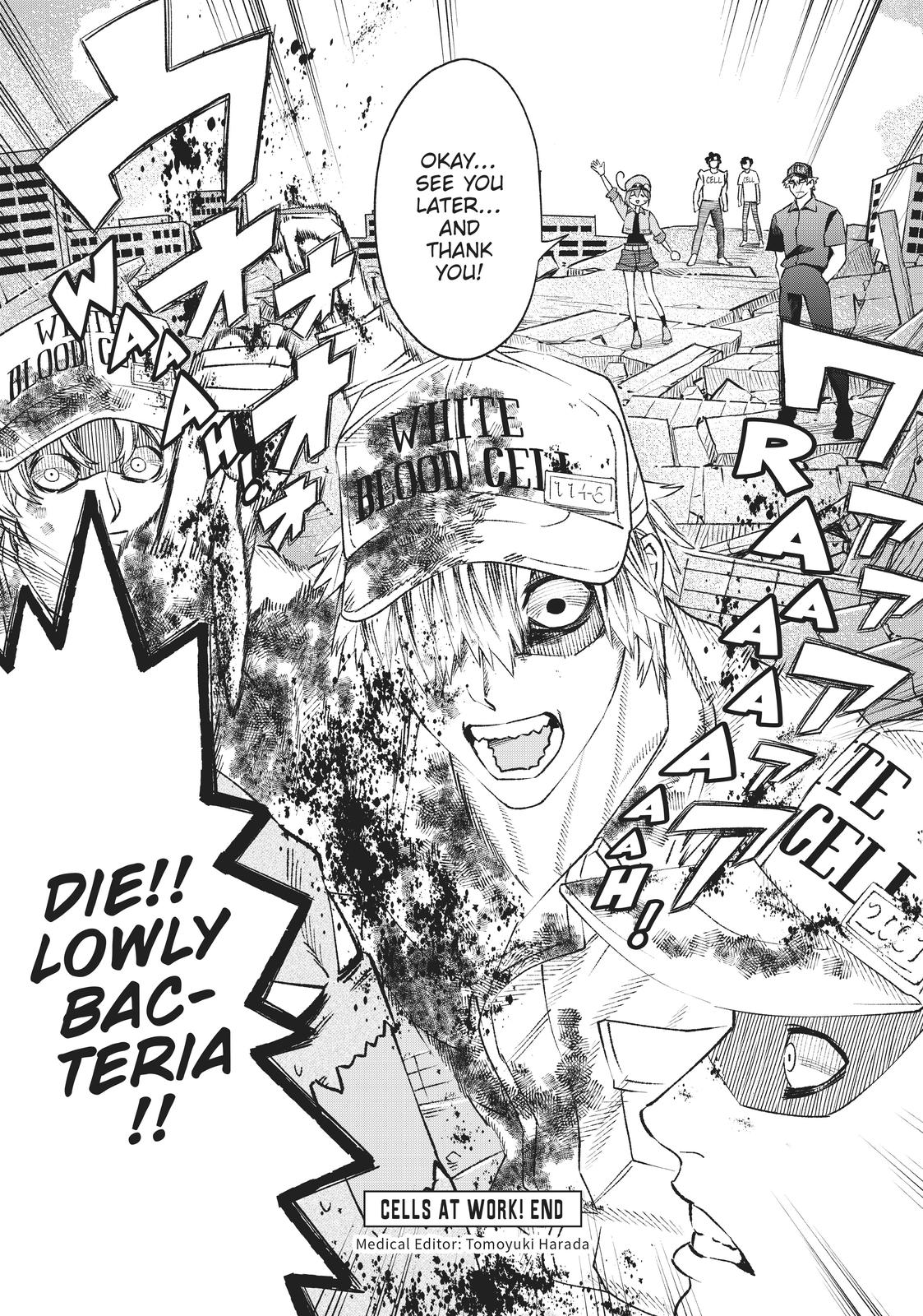 Read Cells at Work! EN Manga Online