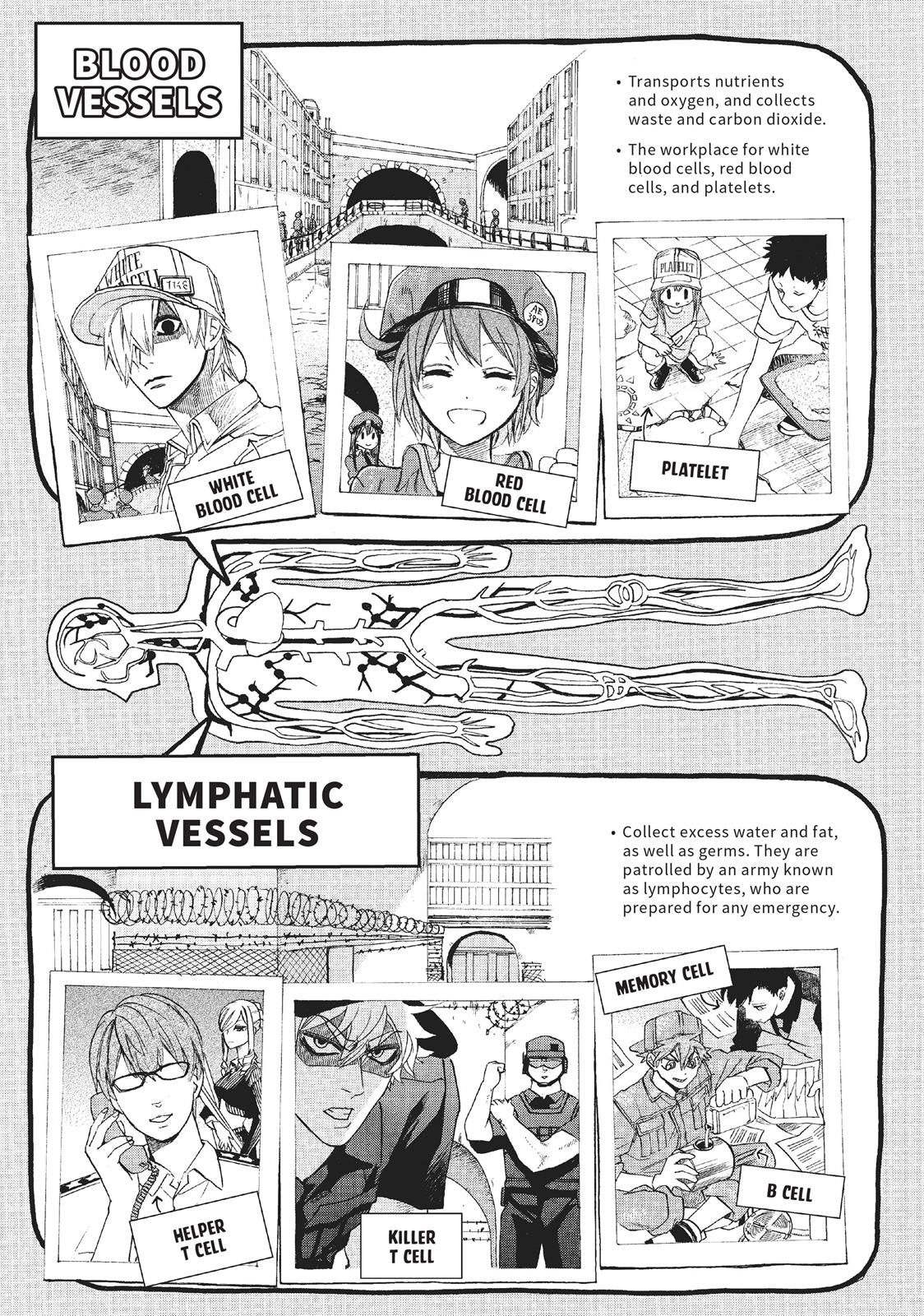 Read Cells at Work! EN Manga Online