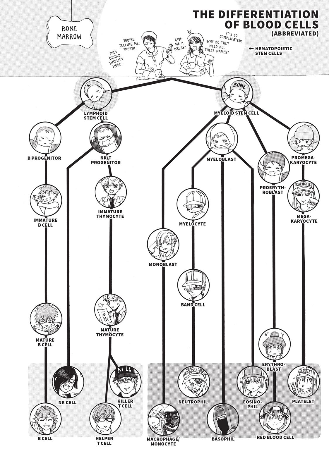 Read Cells at Work! EN Manga Online