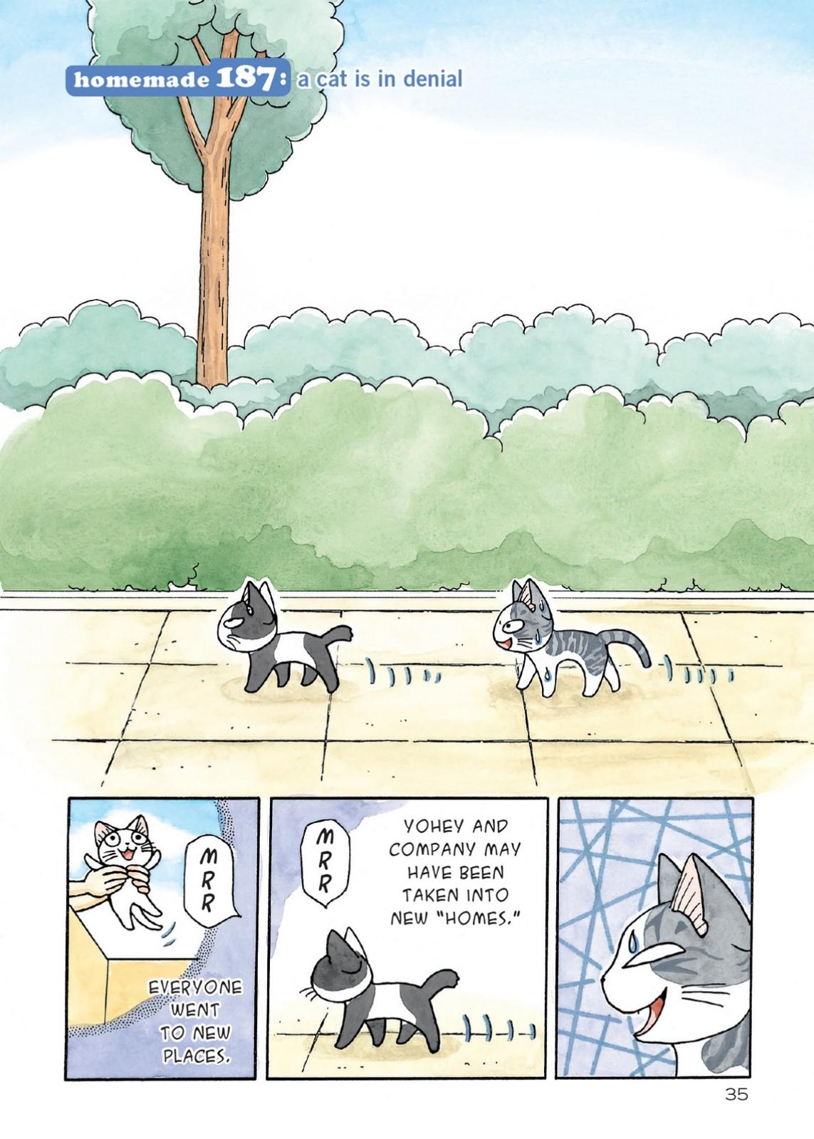 Read Chi's Sweet Home EN Manga Online