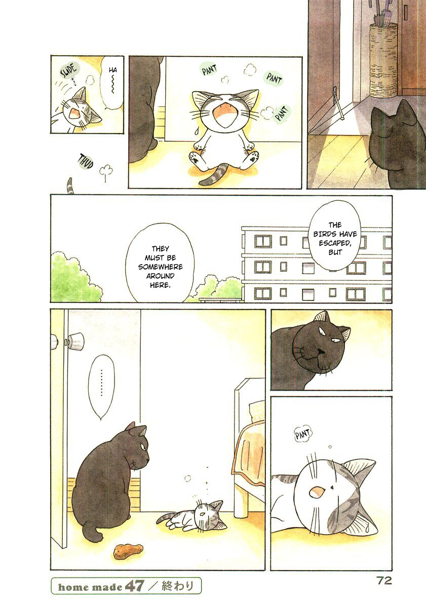 Read Chi's Sweet Home EN Manga Online