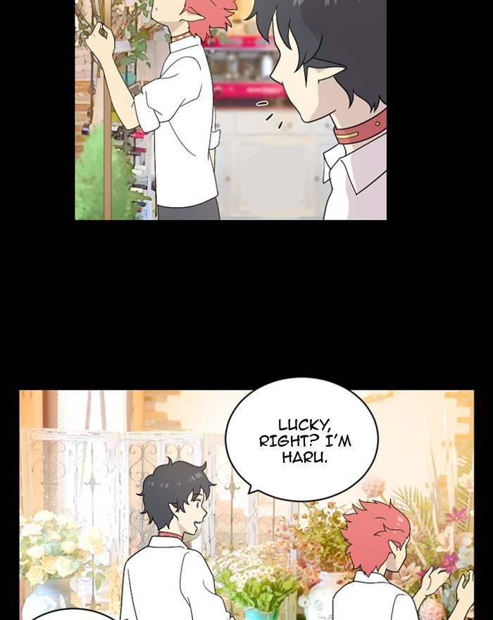 Read Days of Hana EN Manga Online