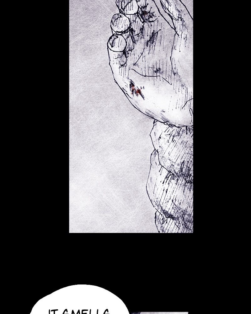 Read Distant Sky EN Manga Online