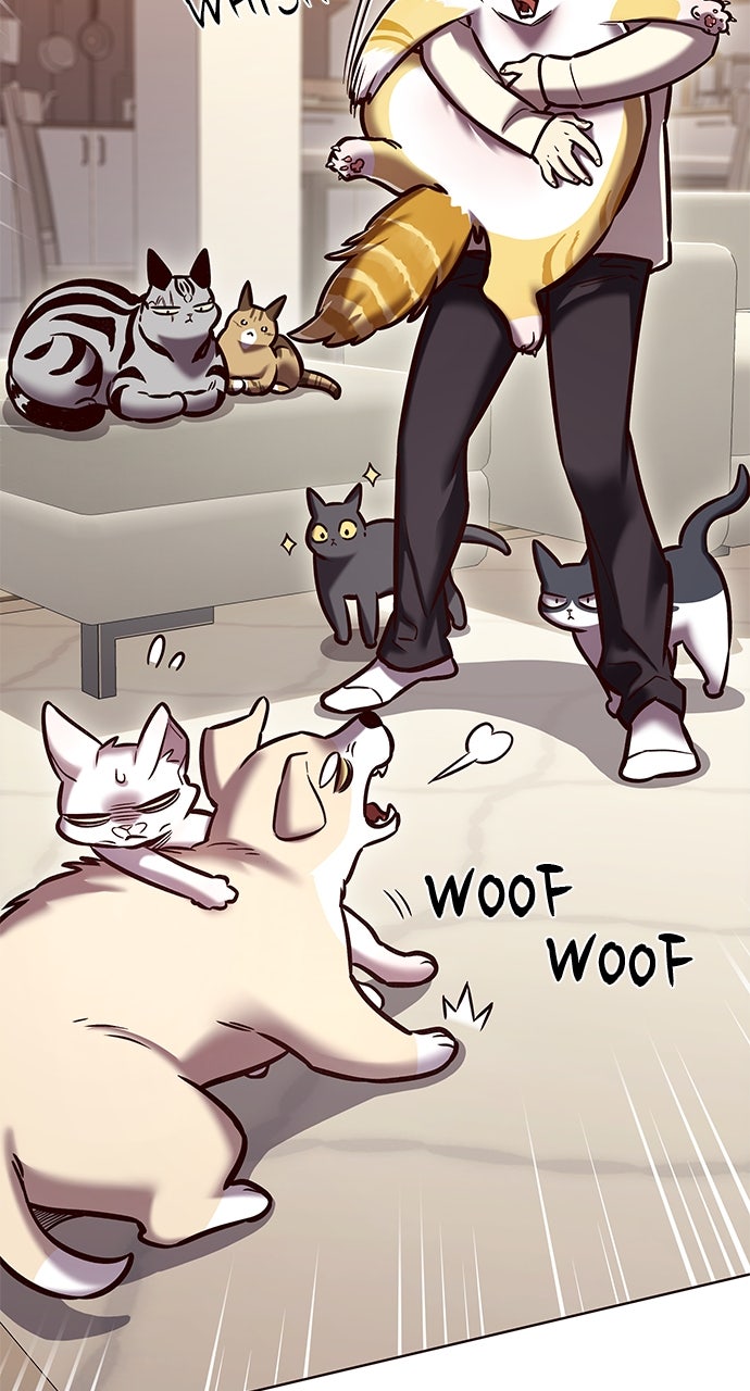 Read Eleceed EN Manga Online