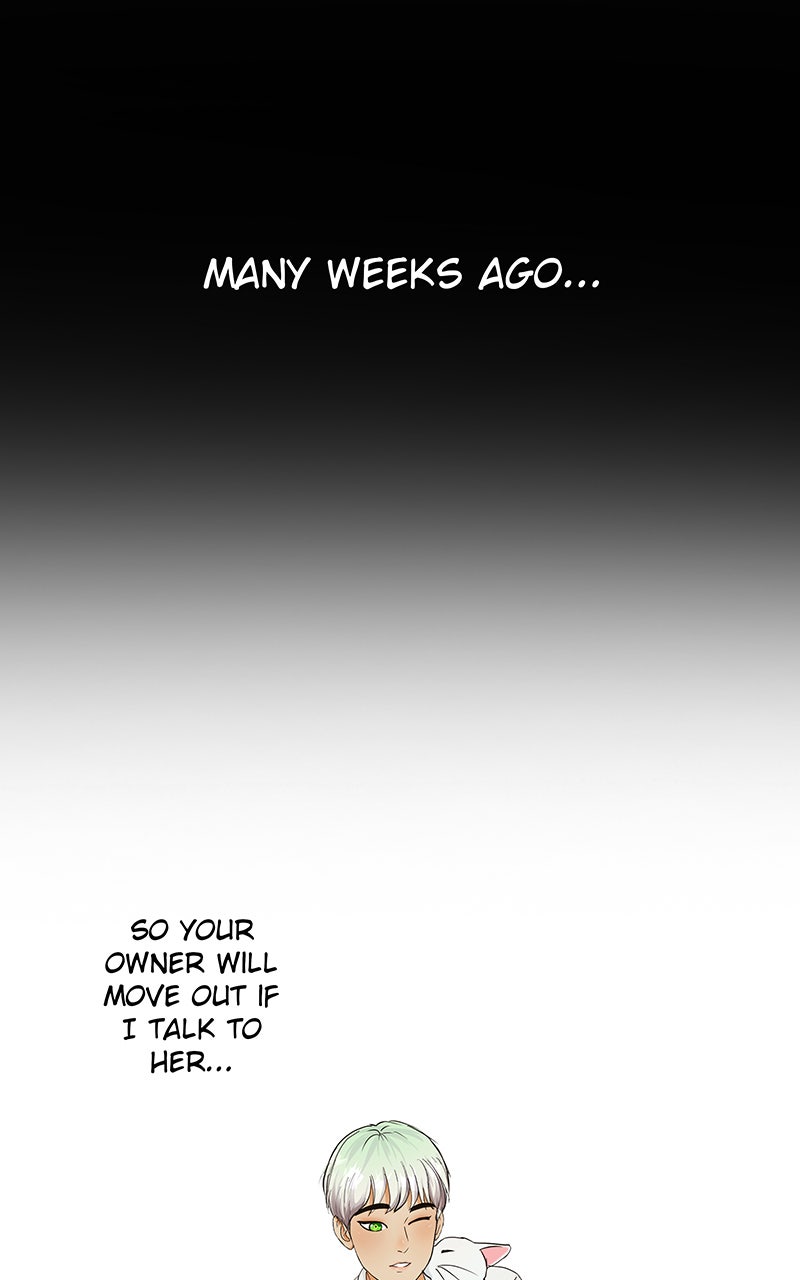 Read Freaking Romance EN Manga Online