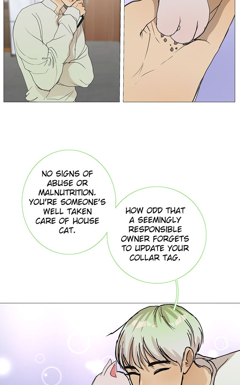 Read Freaking Romance EN Manga Online