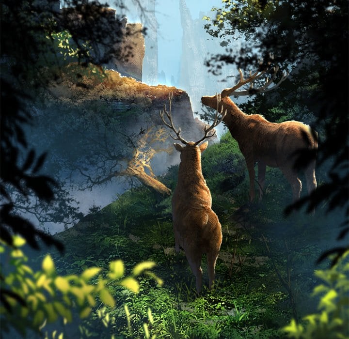 Read Her Summon EN Manga Online