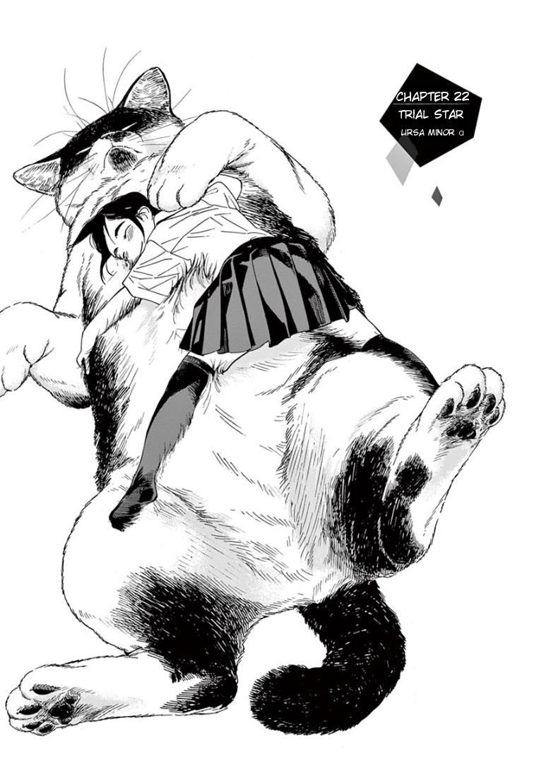 Read Insomniacs After School EN Manga Online