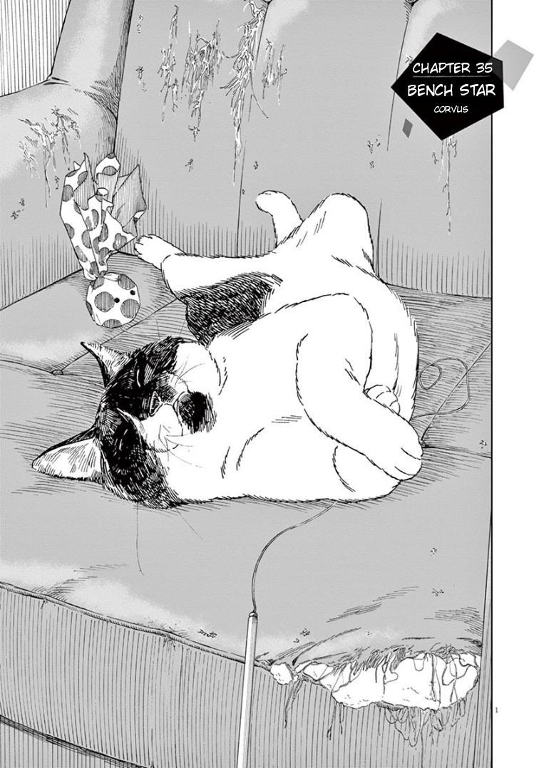 Read Insomniacs After School EN Manga Online