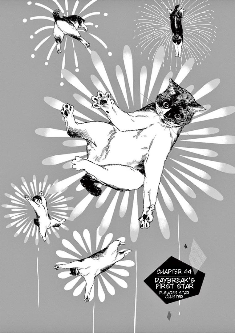 Read Insomniacs After School EN Manga Online