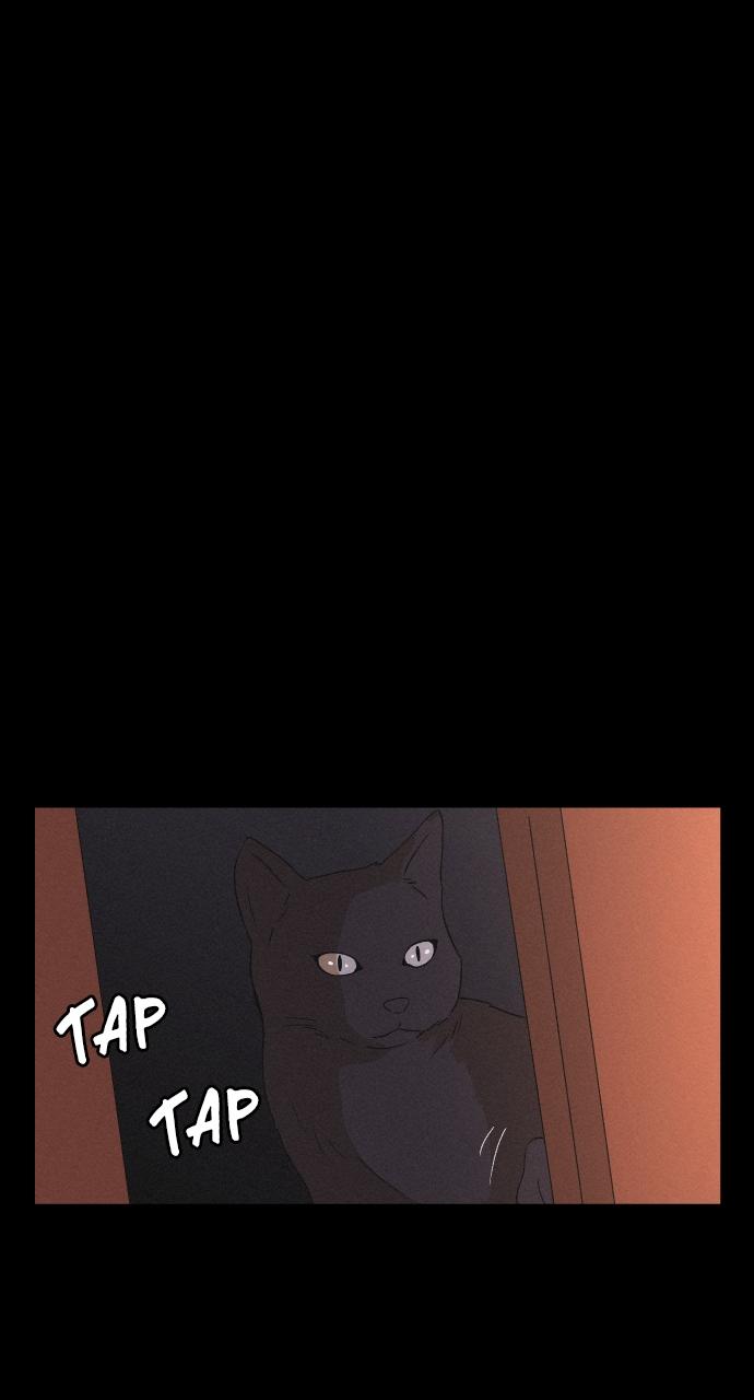 Read Love Song for Illusion EN Manga Online