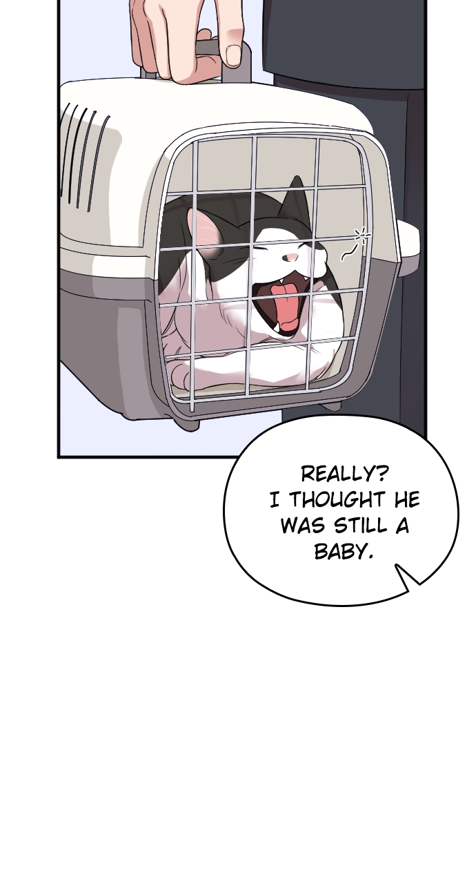 Read Marry My Husband EN Manga Online