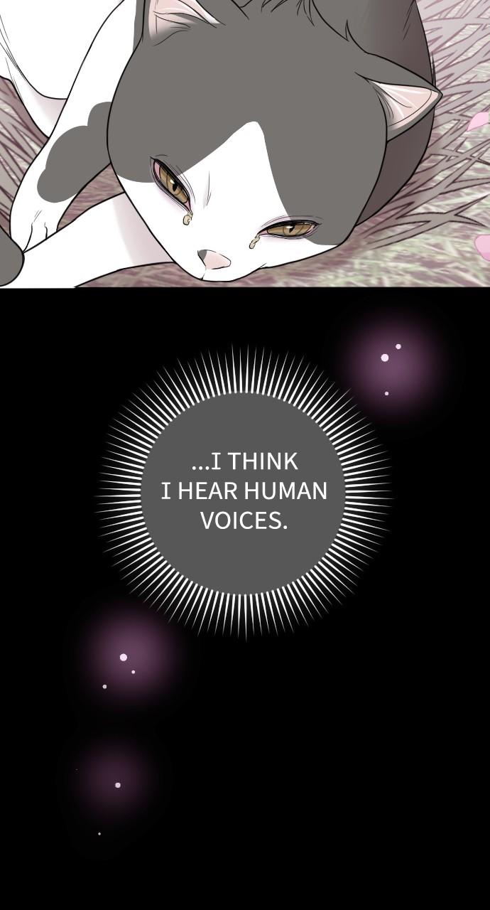 Read Marry My Husband EN Manga Online