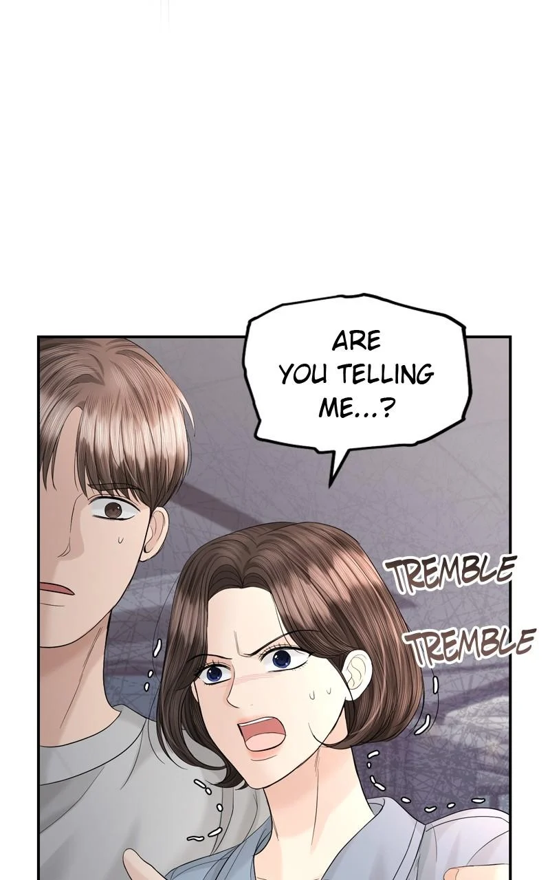 Read Perfect Marriage Revenge EN Manga Online