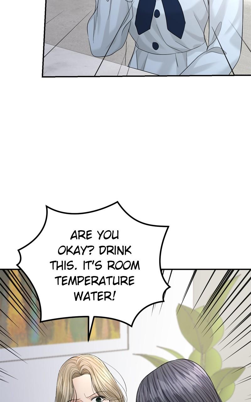 Read Perfect Marriage Revenge EN Manga Online