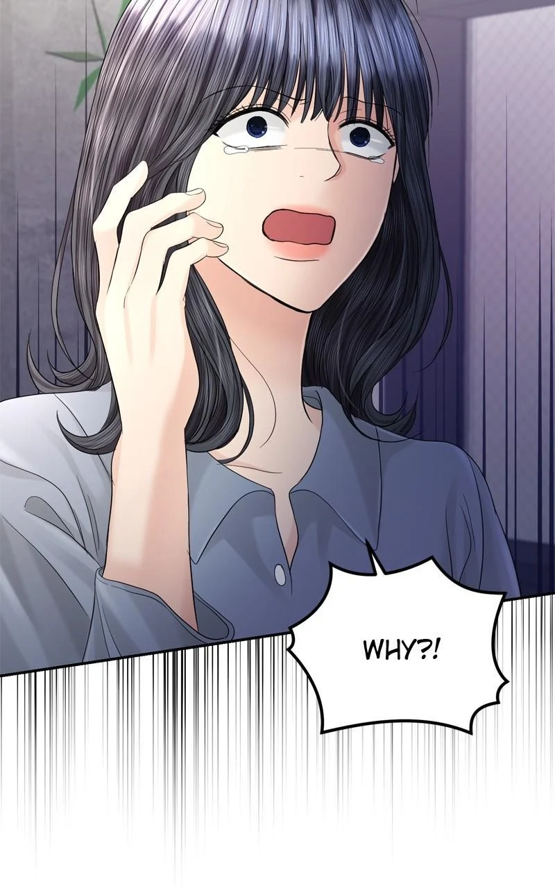 Read Perfect Marriage Revenge EN Manga Online