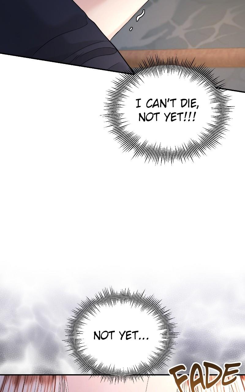 Read Perfect Marriage Revenge EN Manga Online