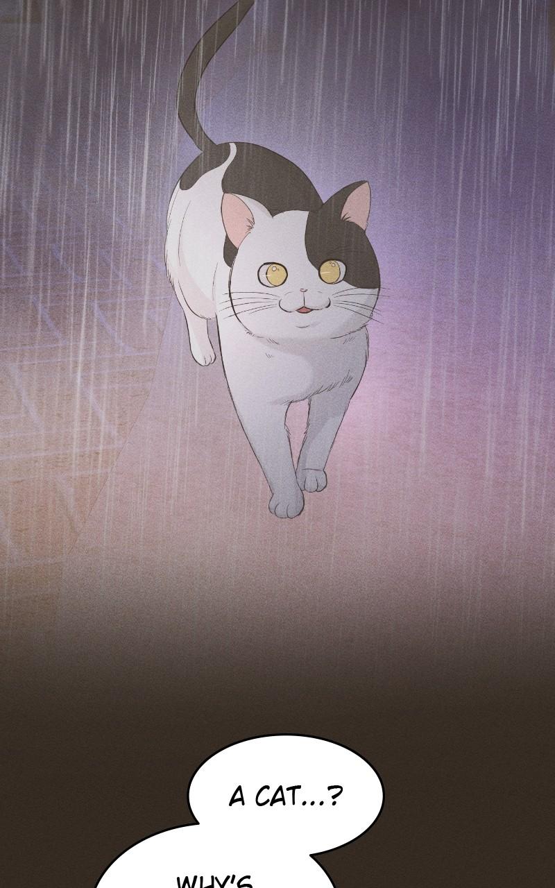 Read Perfect Marriage Revenge EN Manga Online