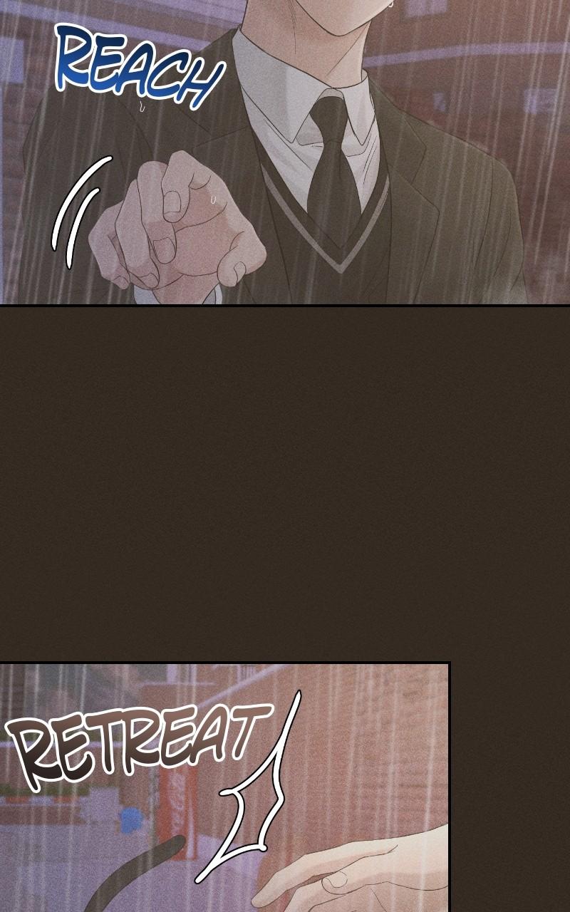 Read Perfect Marriage Revenge EN Manga Online