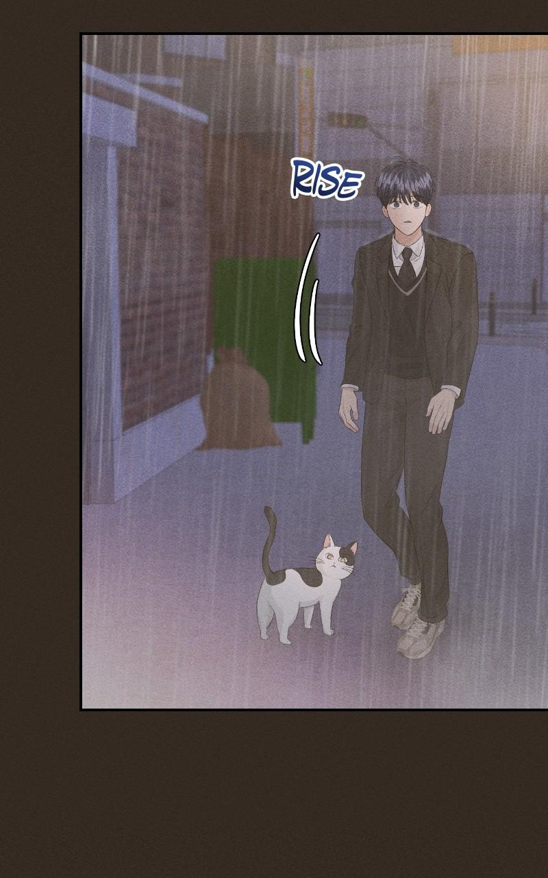 Read Perfect Marriage Revenge EN Manga Online