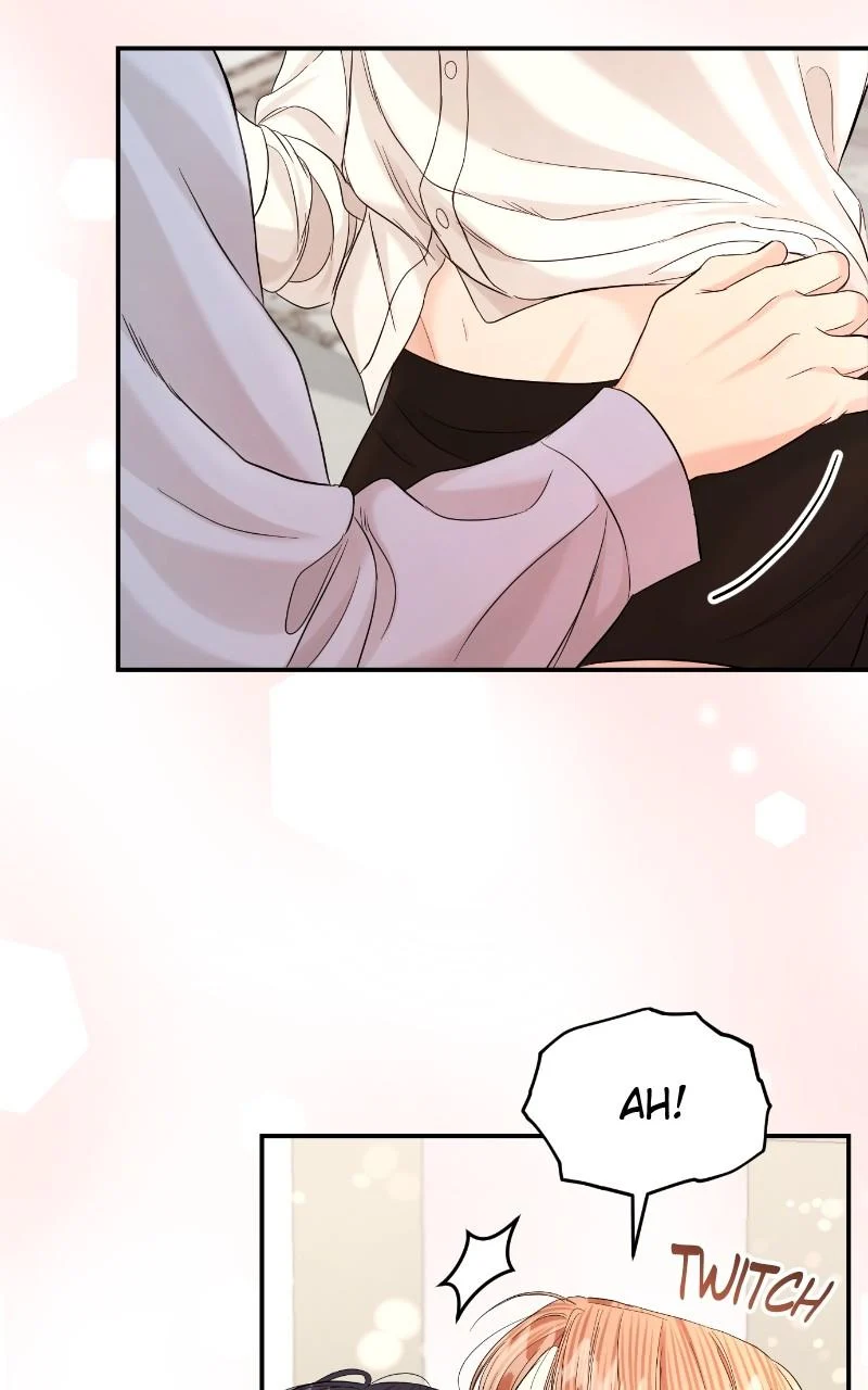 Read Perfect Marriage Revenge EN Manga Online