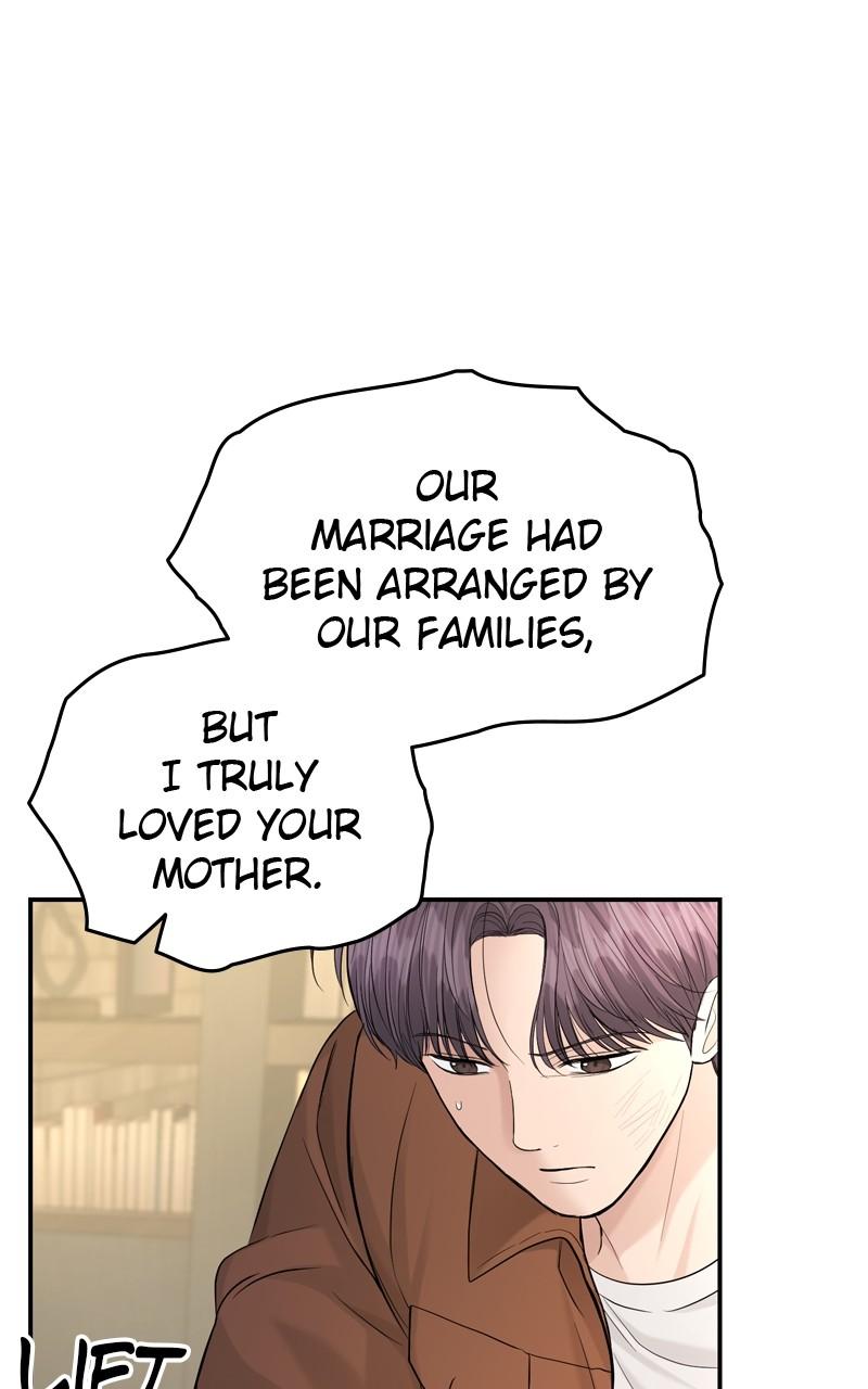 Read Perfect Marriage Revenge EN Manga Online