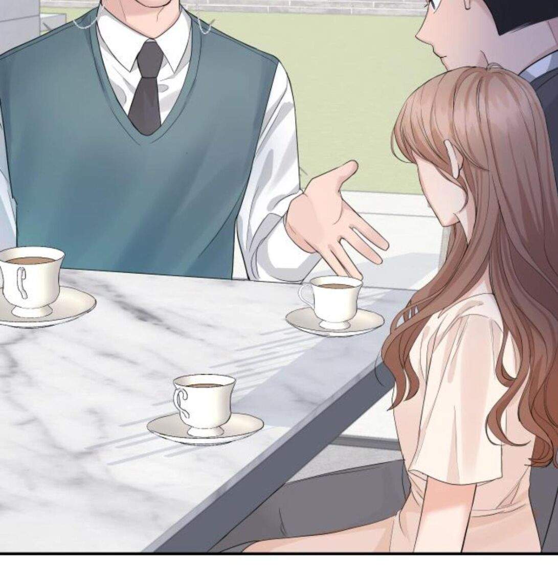 Read Perfect Marriage Revenge EN Manga Online